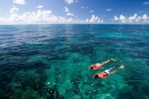 Private Dolphin and Snorkeling Tours